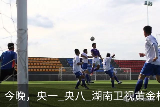 今晚，央一 央八 湖南卫视黄金档排播4部好剧！阵容不错，追哪部？