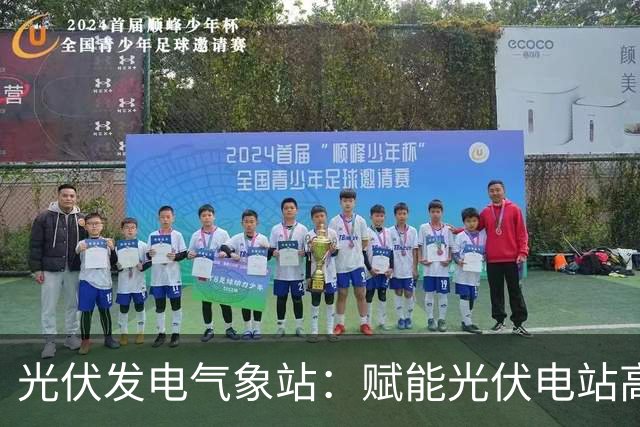 光伏发电气象站：赋能光伏电站高效运行的监测伙伴