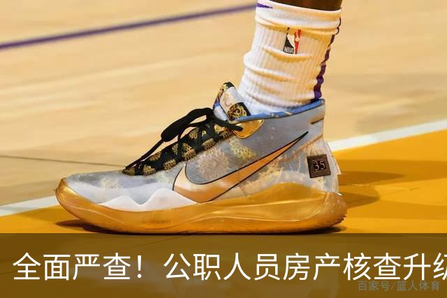 全面严查！公职人员房产核查升级，大数据溯源没有侥幸空间