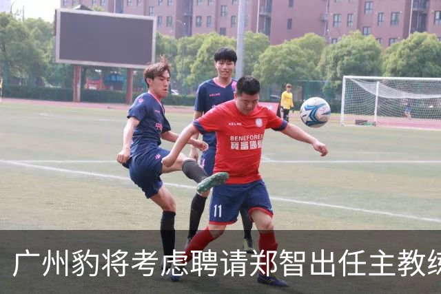 广州豹将考虑聘请郑智出任主教练，未来将挑大梁，值得期待