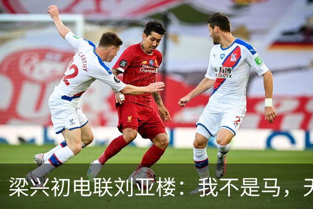 梁兴初电联刘亚楼：我不是马，天天吃豆子，刘：大胆，你骂谁？