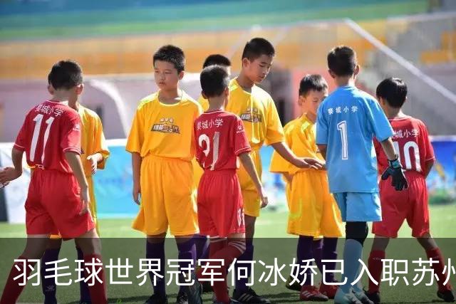 羽毛球世界冠军何冰娇已入职苏州城市学院，担任专任教师
