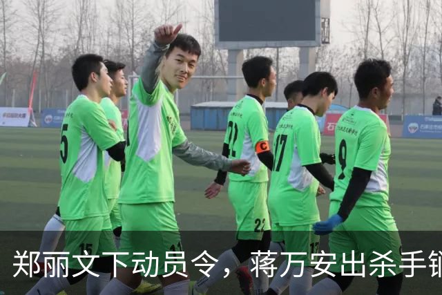 郑丽文下动员令，蒋万安出杀手锏，卢秀燕设防线，朱立伦挺赵少康