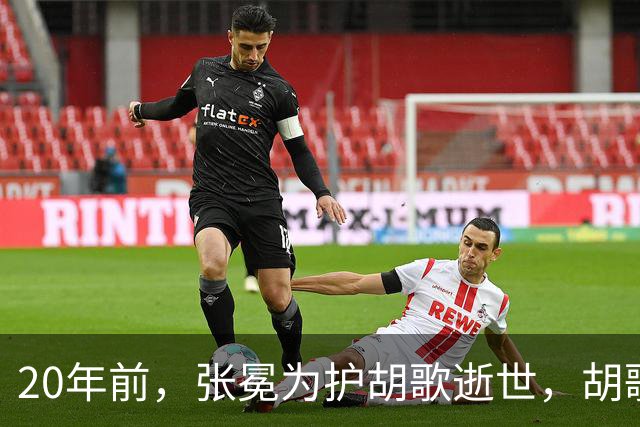 20年前，张冕为护胡歌逝世，胡歌许诺赡养其父母，如今他做到了吗